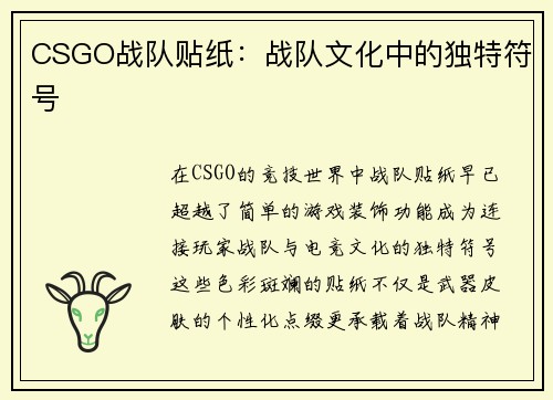 CSGO战队贴纸：战队文化中的独特符号